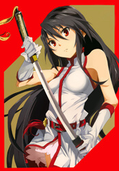 Akame ga KILL! ZERO